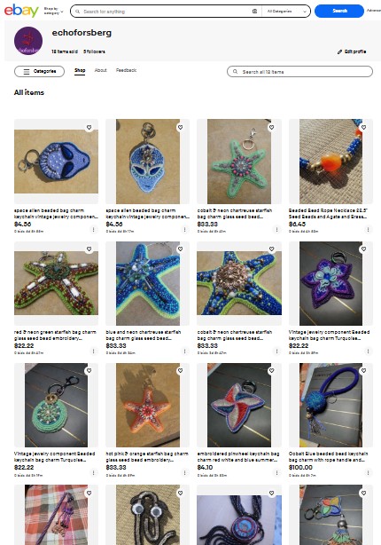 echoforsberg on ebay store preview