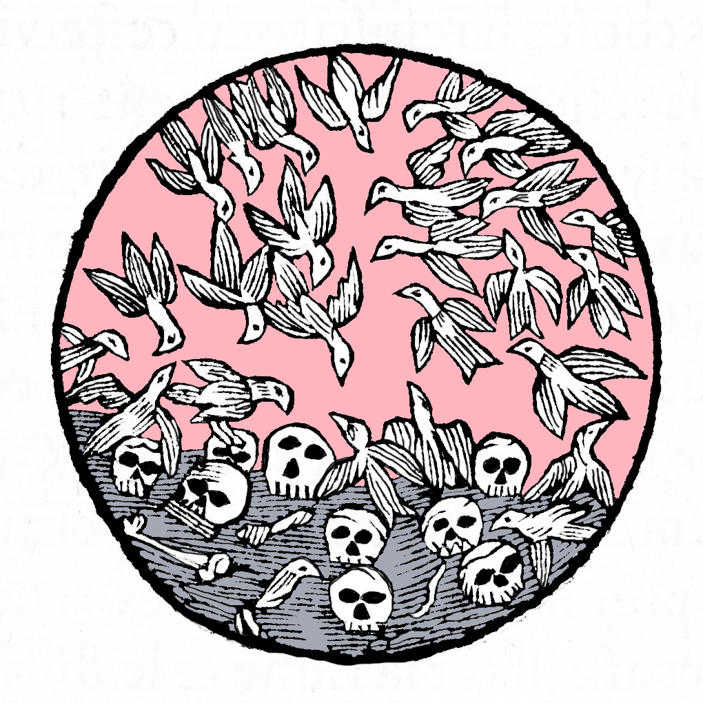 Birds of Death - pink