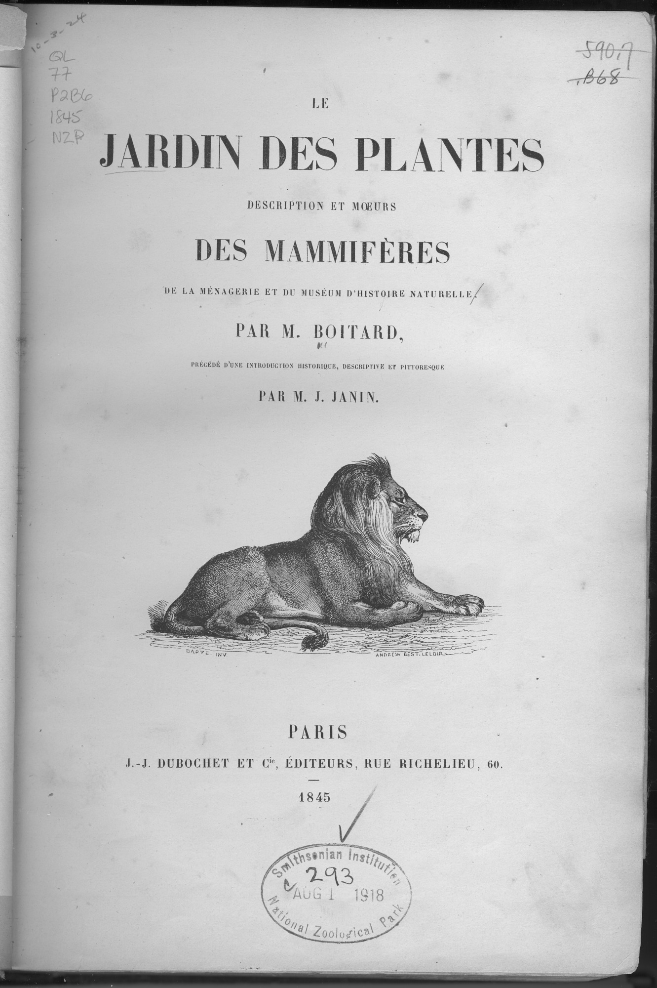lion source image public domain