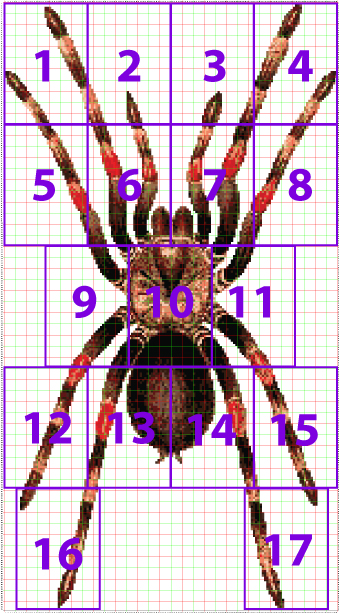 full coverage tarantula cross stitch pattern page layout preview