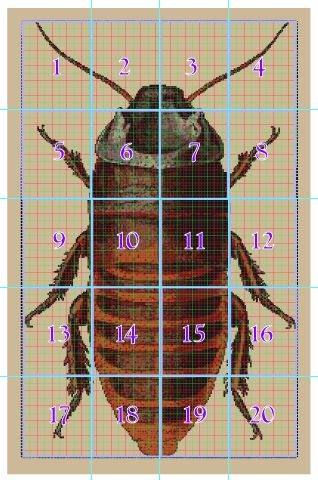 roach pattern page layout